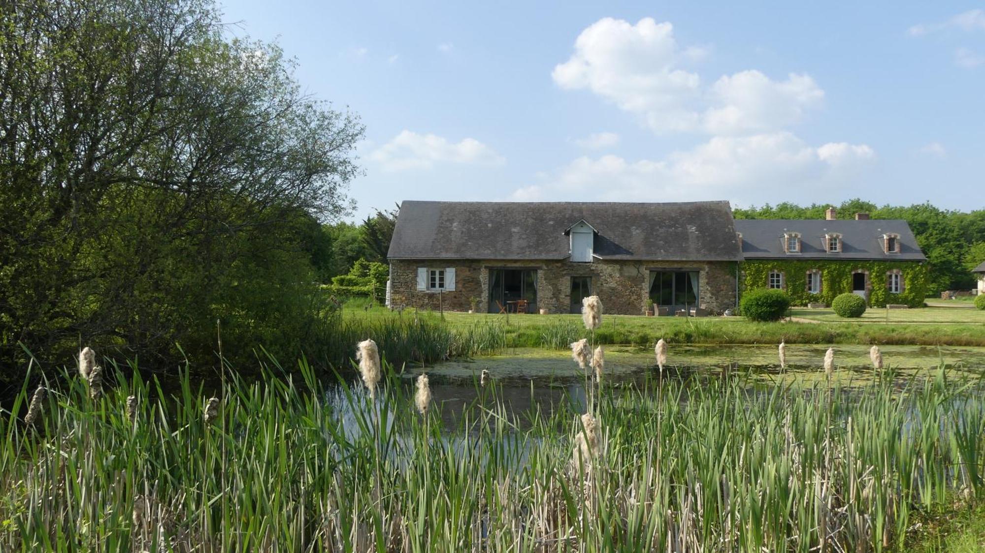 La Petite Lande Bed & Breakfast Ménil Dış mekan fotoğraf