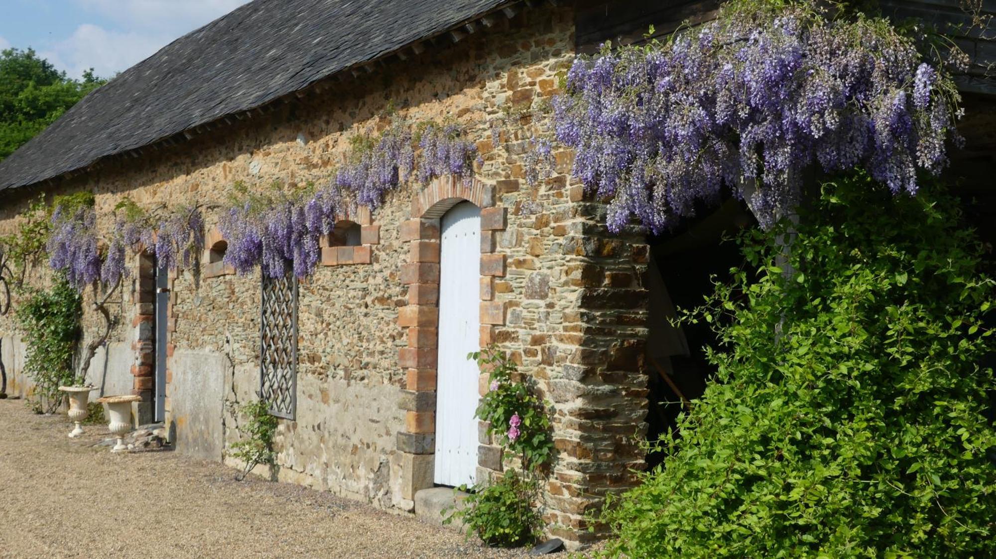 La Petite Lande Bed & Breakfast Ménil Dış mekan fotoğraf
